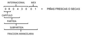 CLASIFICACIÓN ARANCELARIA DE LAS MERCANCÍAS